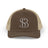 Brown / Khaki